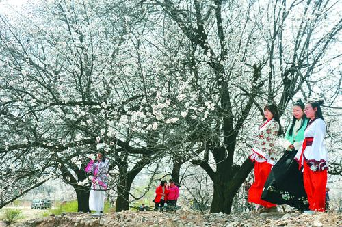 bszb官方下载界面预览